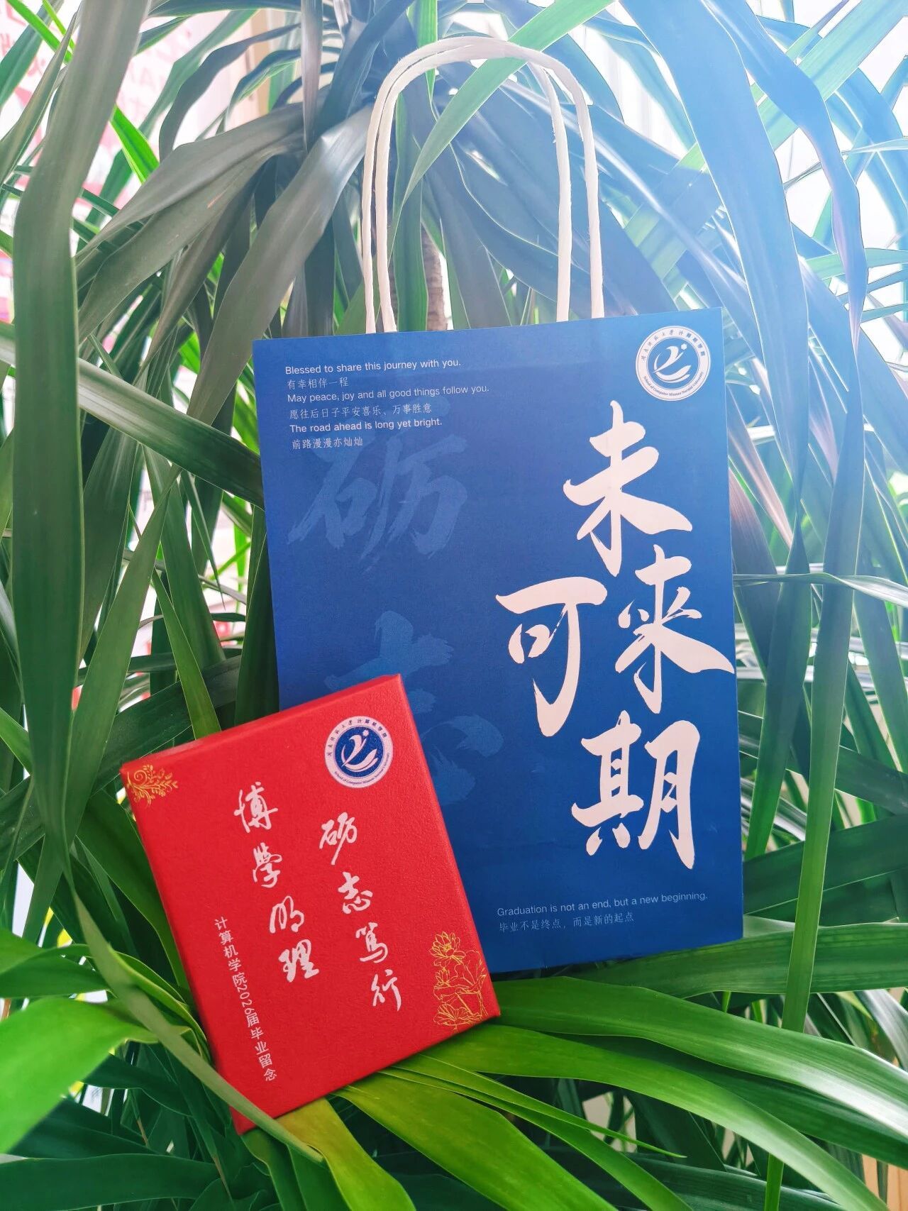 买足球网站