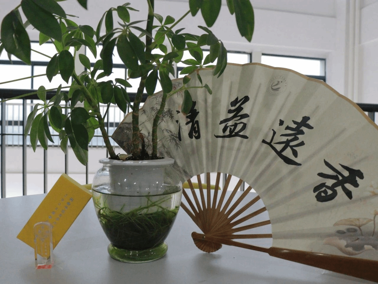 买足球网站